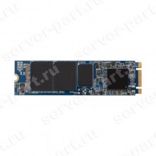 Твердотелый Накопитель SSD HP (Intel) SSD DC S3500 Series 120Gb 440Мб/сек TRIM MLC AES 6G SATAIII M.2 2280 (22x80mm) For Gen9 Gen10(VR0120GEJXL)